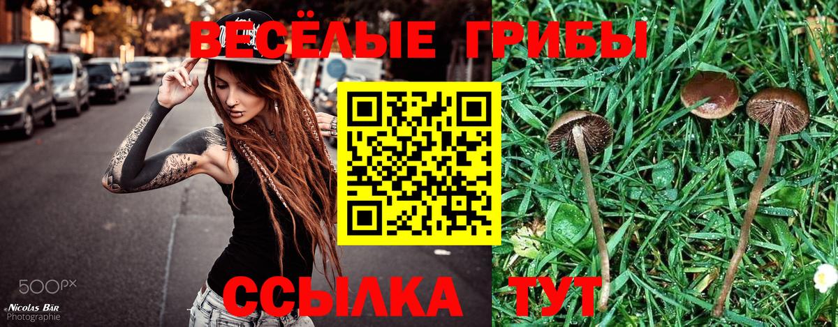 Кинель  Псилоцибиновые грибы мухоморы  Псилоцибиновые грибы GOLDEN TEACHER  Вход с VPN 
